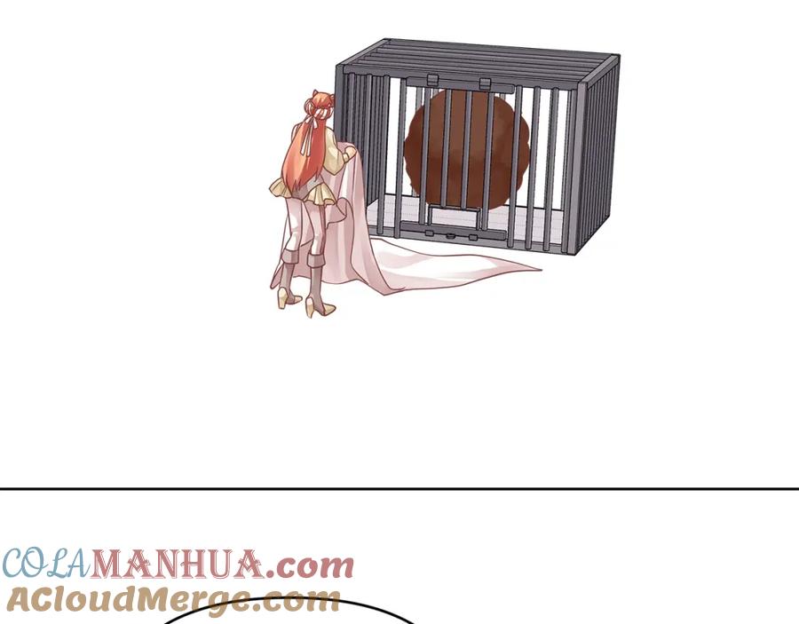 113.jpg