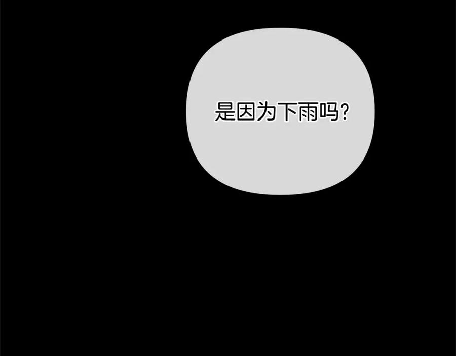 164.jpg