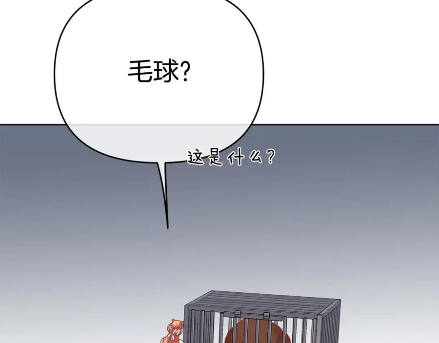 114.jpg