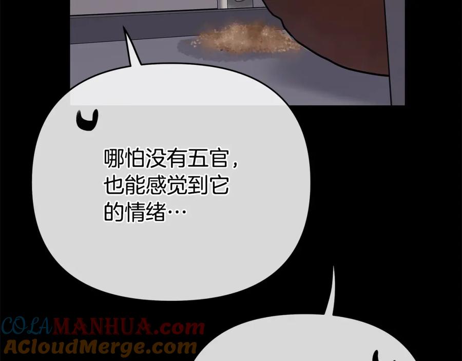 205.jpg