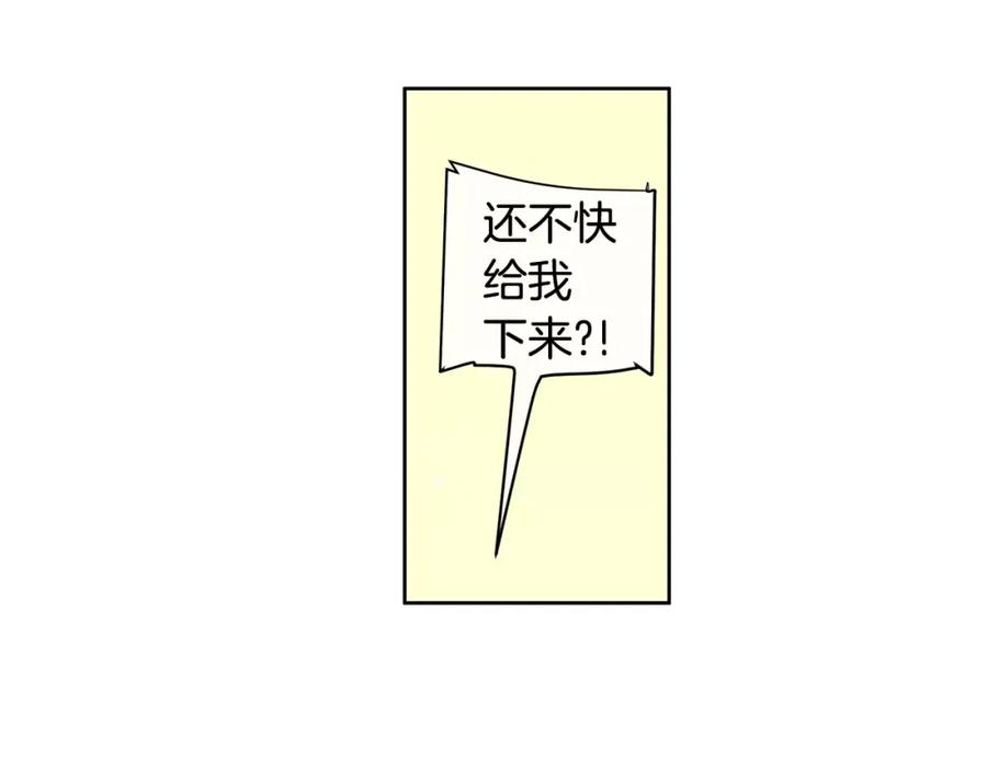 114.jpg