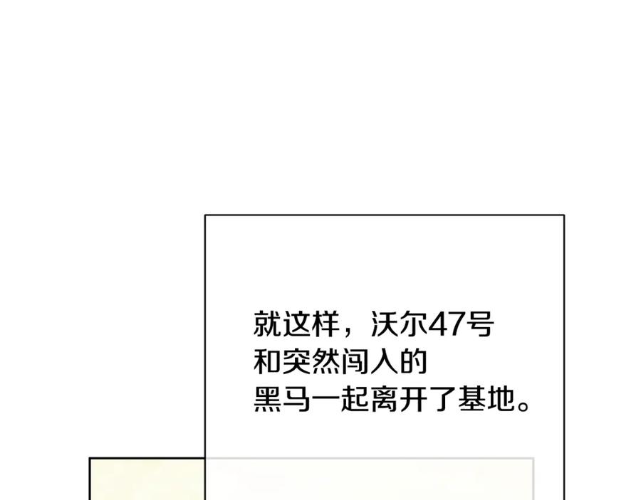 164.jpg