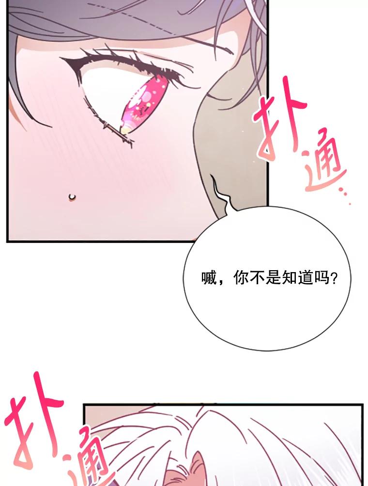 96.jpg