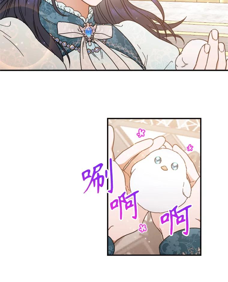 80.jpg