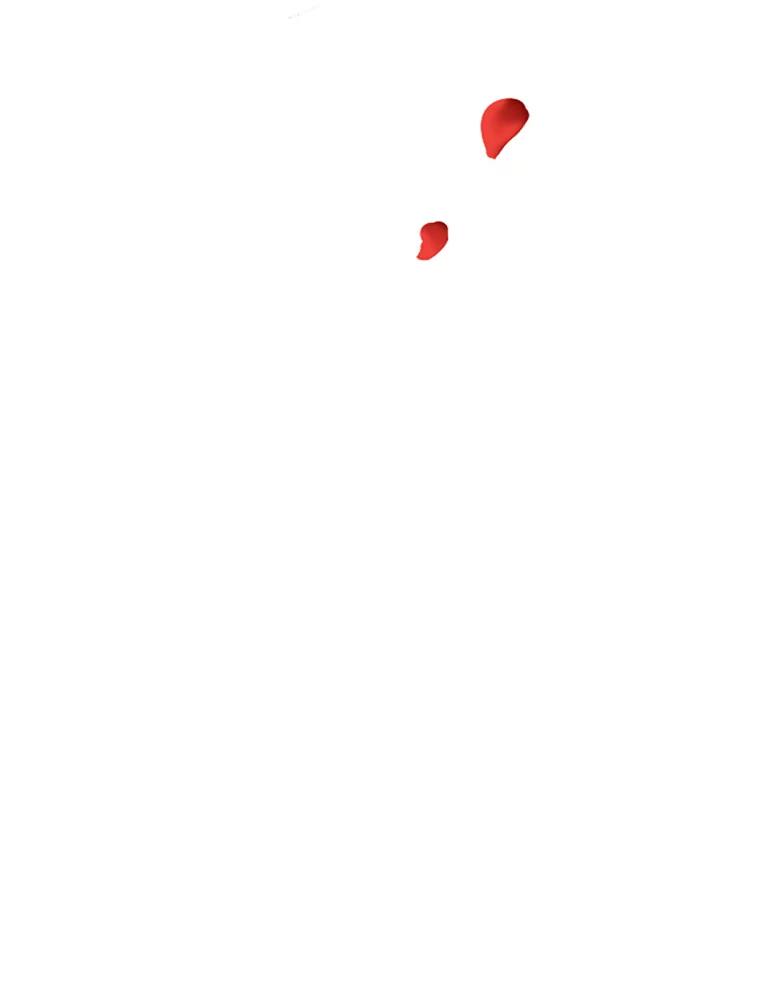 69.jpg