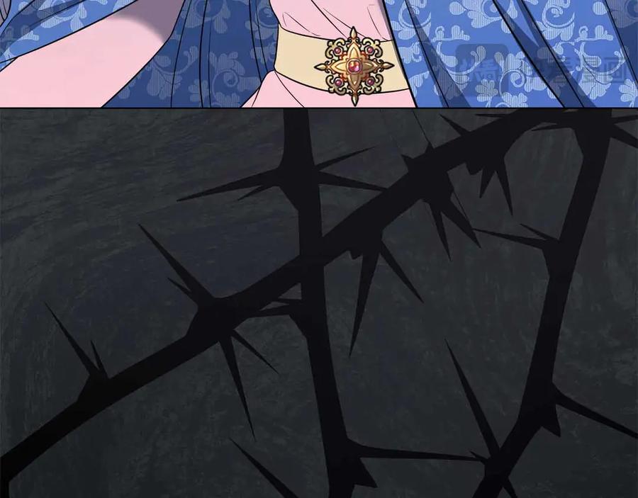 80.jpg