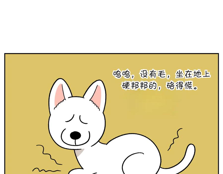 第54话一起在床上睡吧-我的狗子叫棉花-milo+Polarfox（第5张）