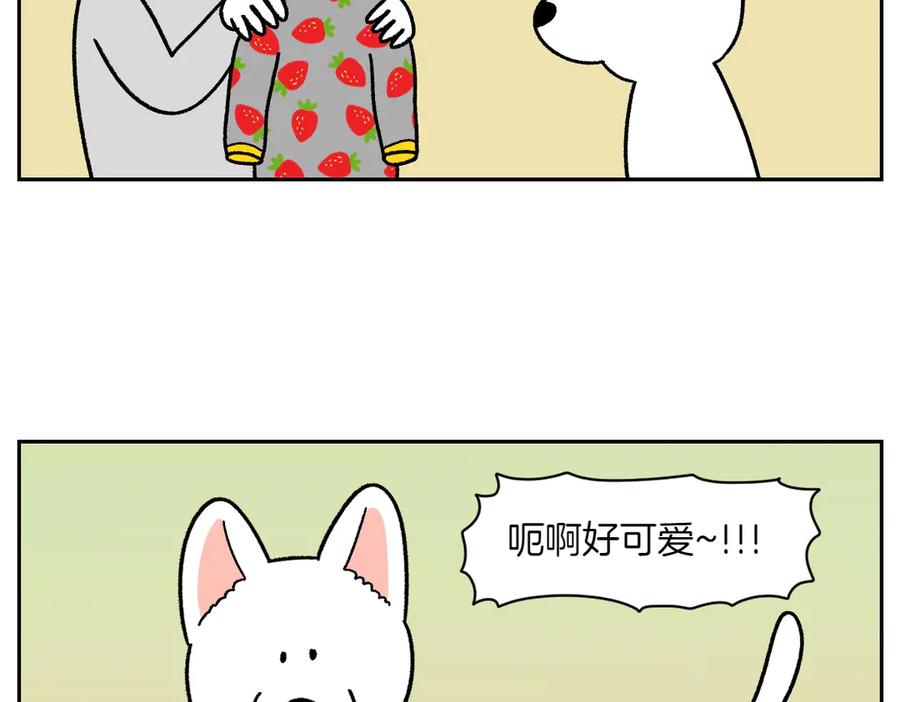 第54话一起在床上睡吧-我的狗子叫棉花-milo+Polarfox（第7张）