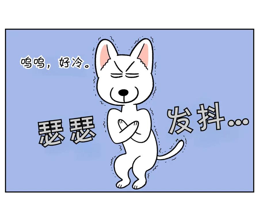 第54话一起在床上睡吧-我的狗子叫棉花-milo+Polarfox（第4张）