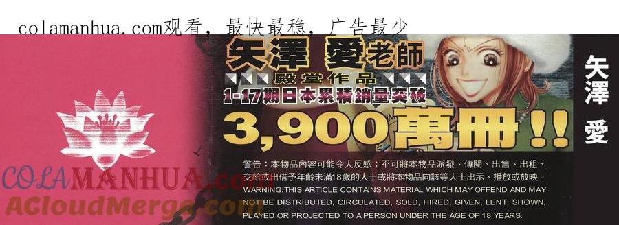 第17卷-NANA世上的另一个我-矢泽爱,集英社（第1张）
