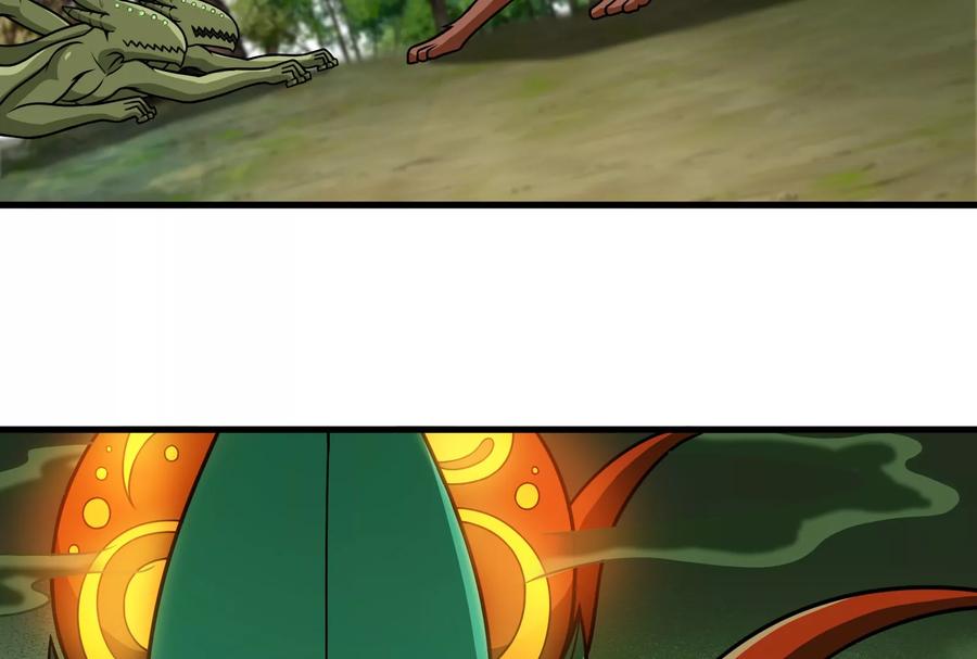 47.jpg