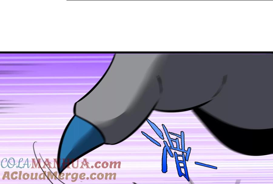 73.jpg