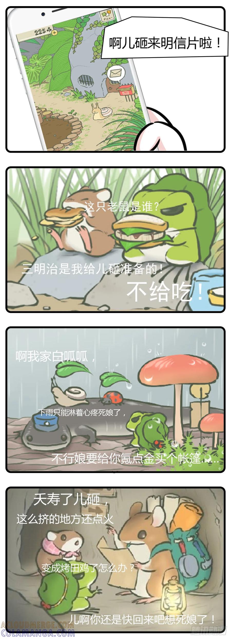 天青色等烟雨，而我在等蛙-素菜包-金姨（第4张）