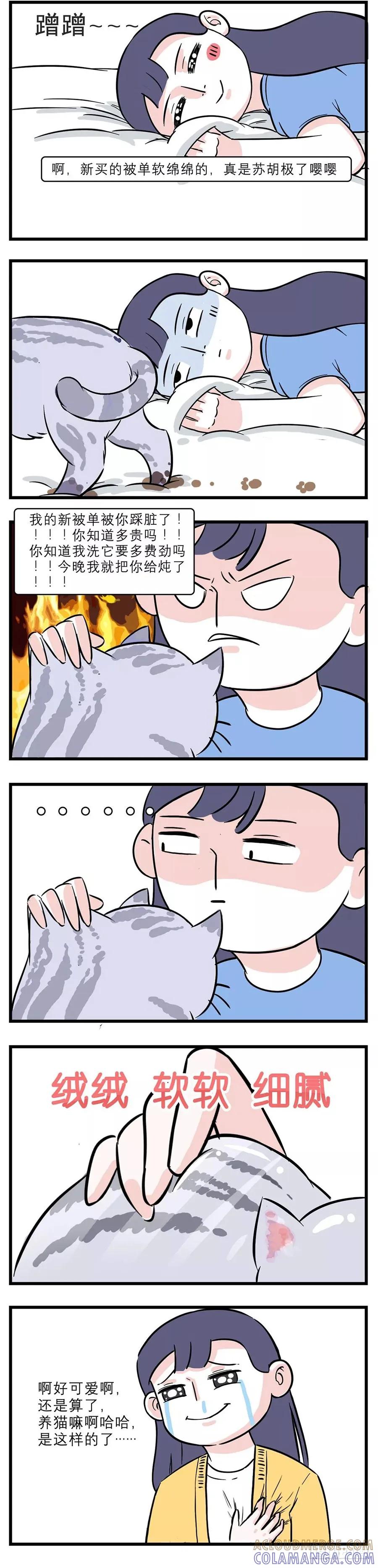 我们猫奴就是这样一步一步走向深渊-素菜包-金姨（第2张）