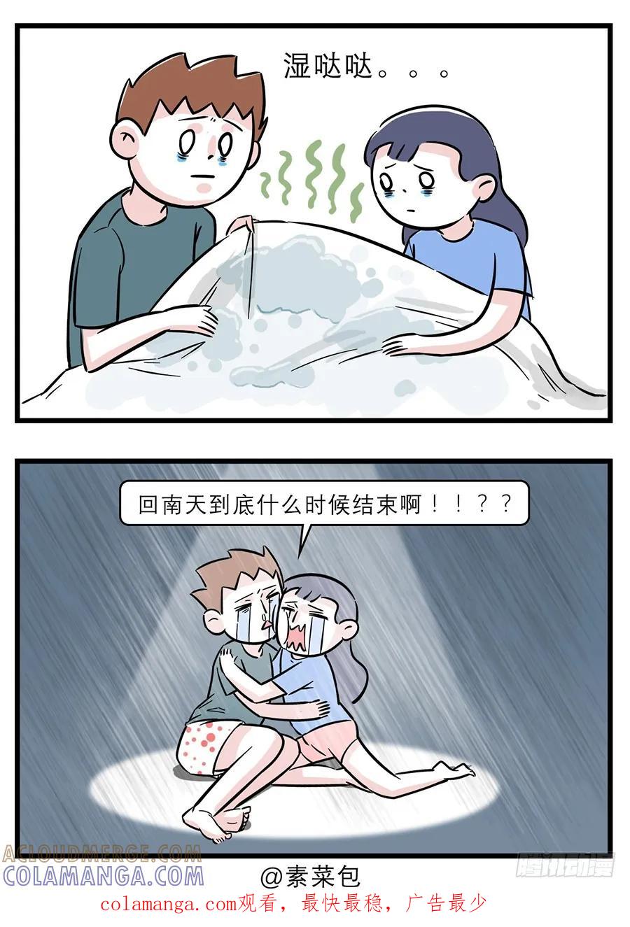 生活不止苟且，还有【湿】与远方-素菜包-金姨（第5张）