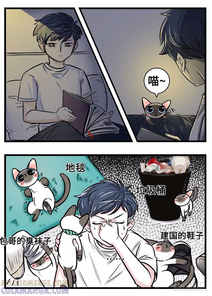 我们猫奴就是这样的！-素菜包-金姨（第11张）