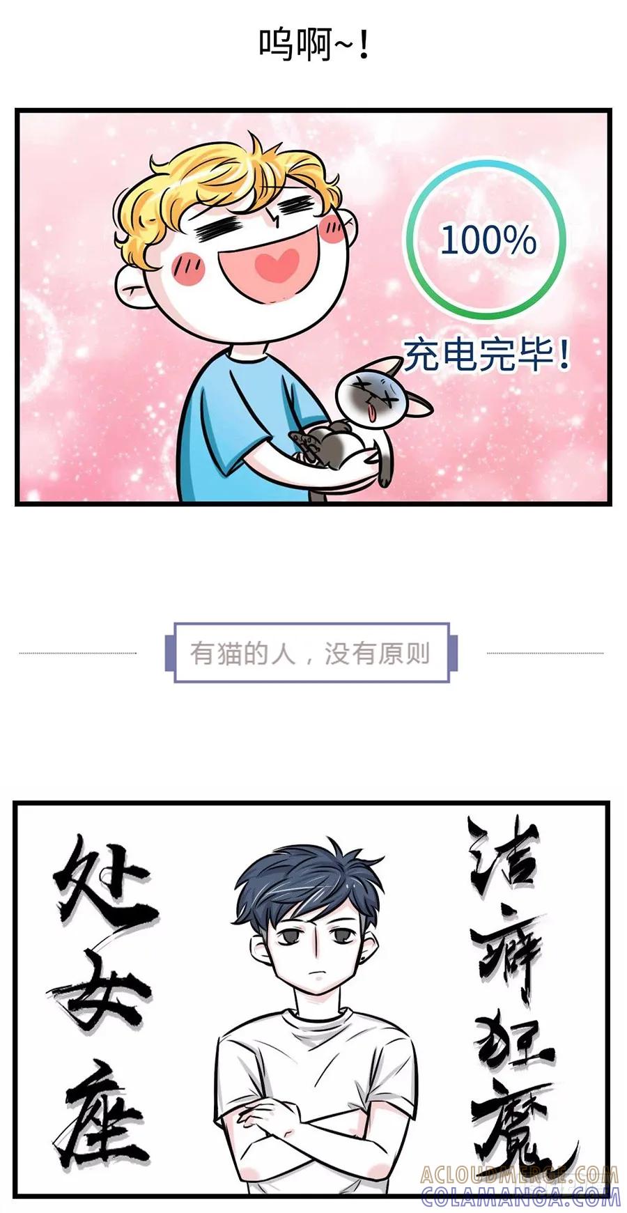 我们猫奴就是这样的！-素菜包-金姨（第10张）