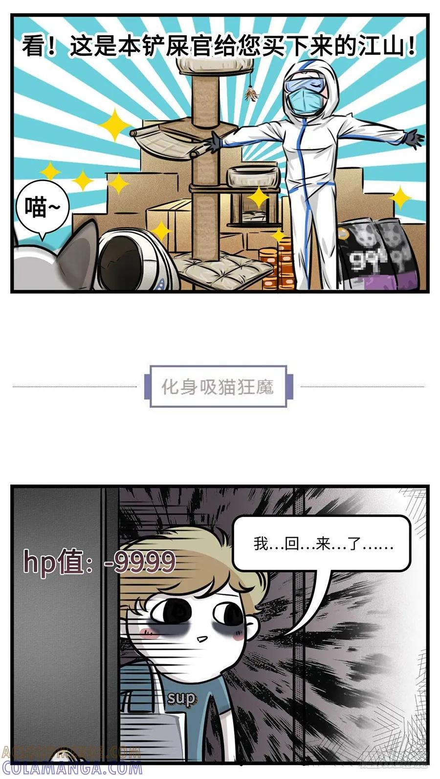 我们猫奴就是这样的！-素菜包-金姨（第8张）