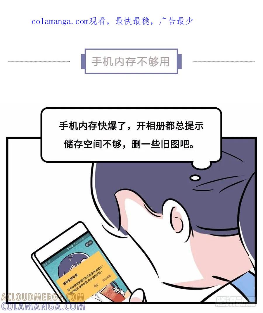 我们猫奴就是这样的！-素菜包-金姨（第1张）