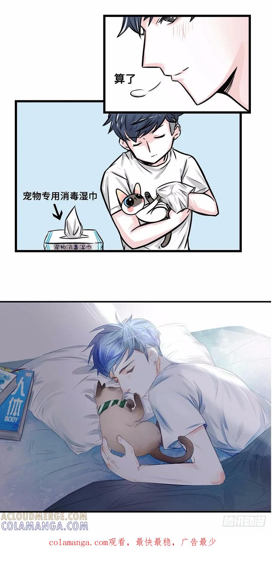 我们猫奴就是这样的！-素菜包-金姨（第12张）