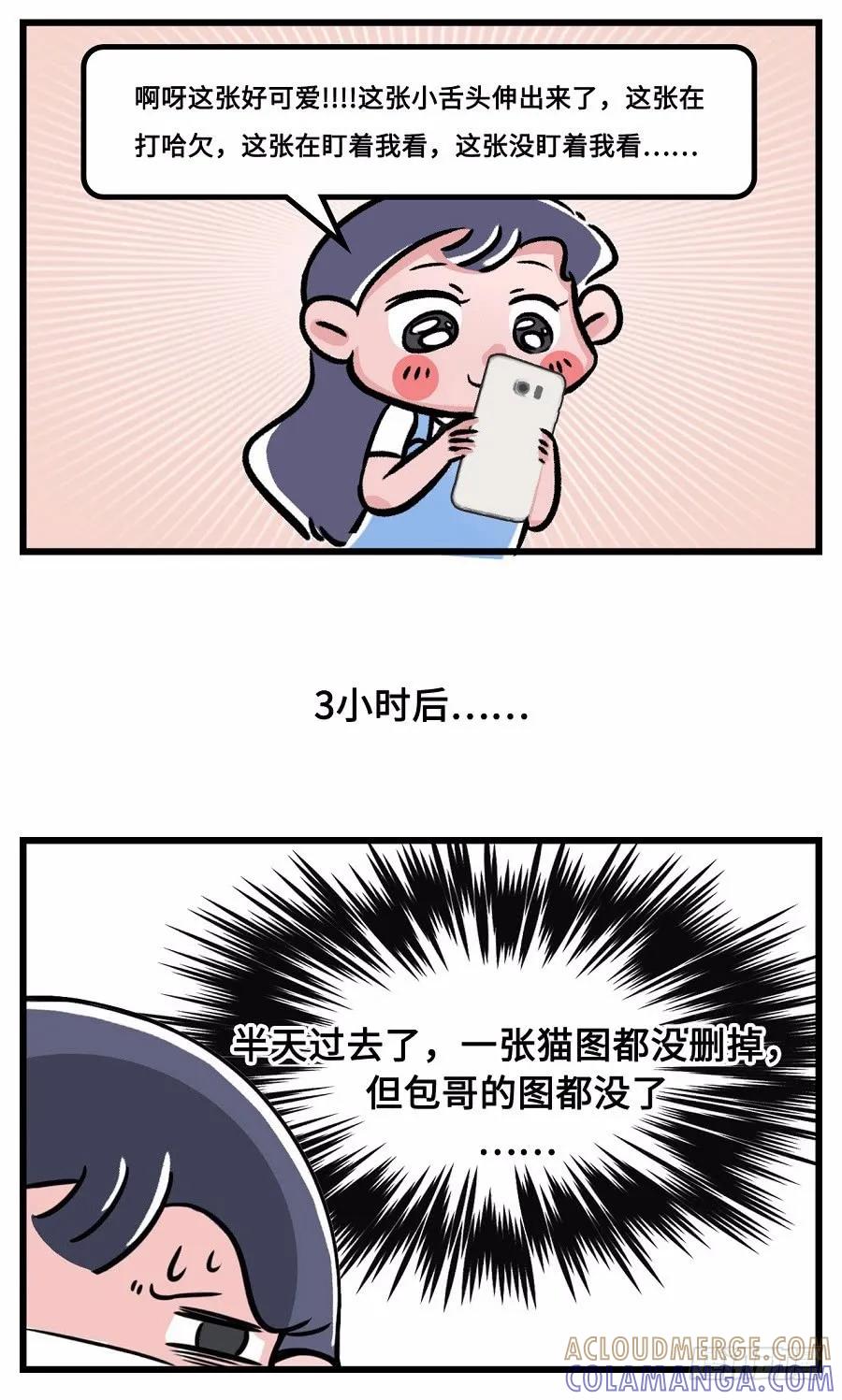 我们猫奴就是这样的！-素菜包-金姨（第3张）