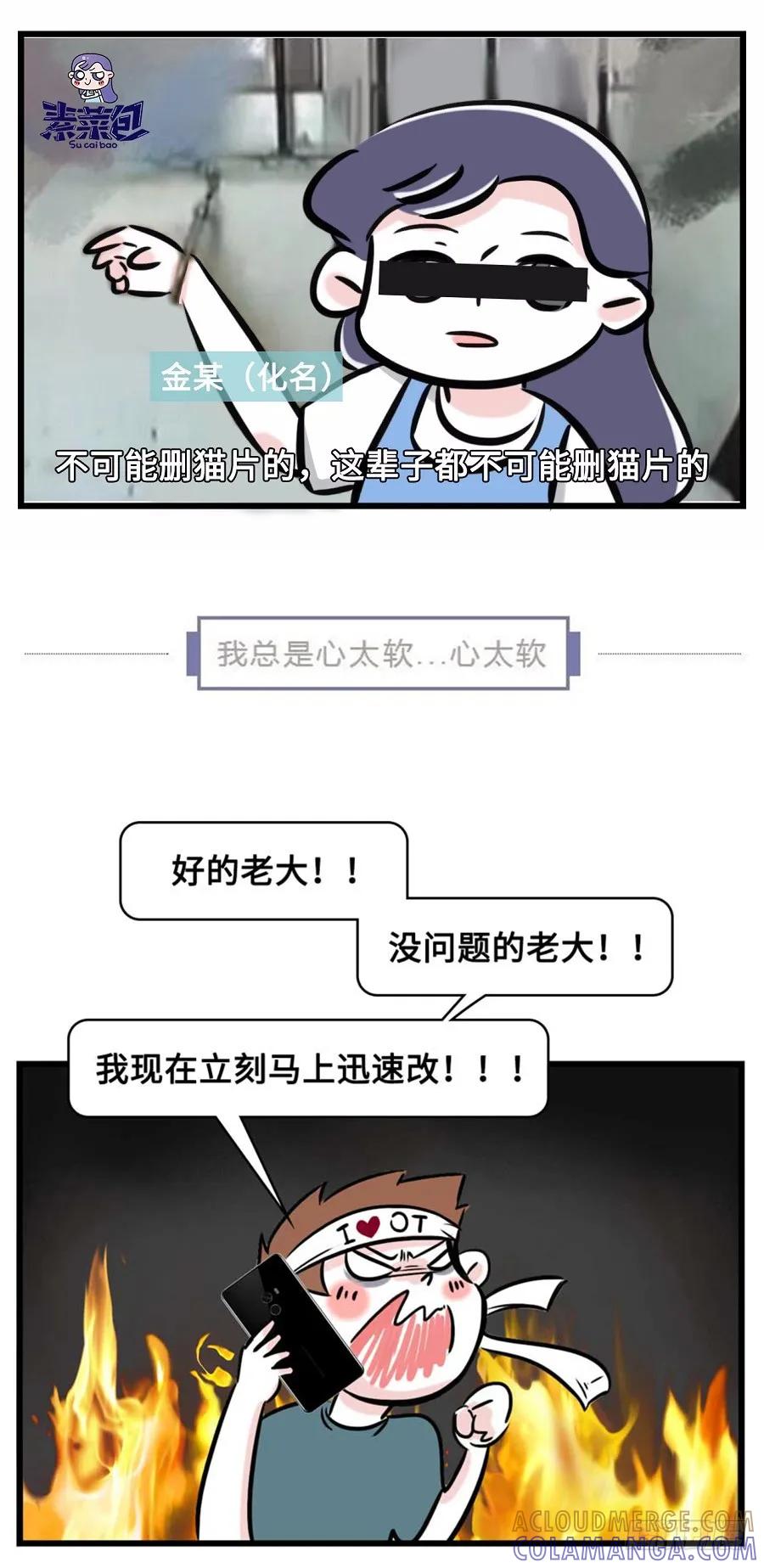 我们猫奴就是这样的！-素菜包-金姨（第4张）