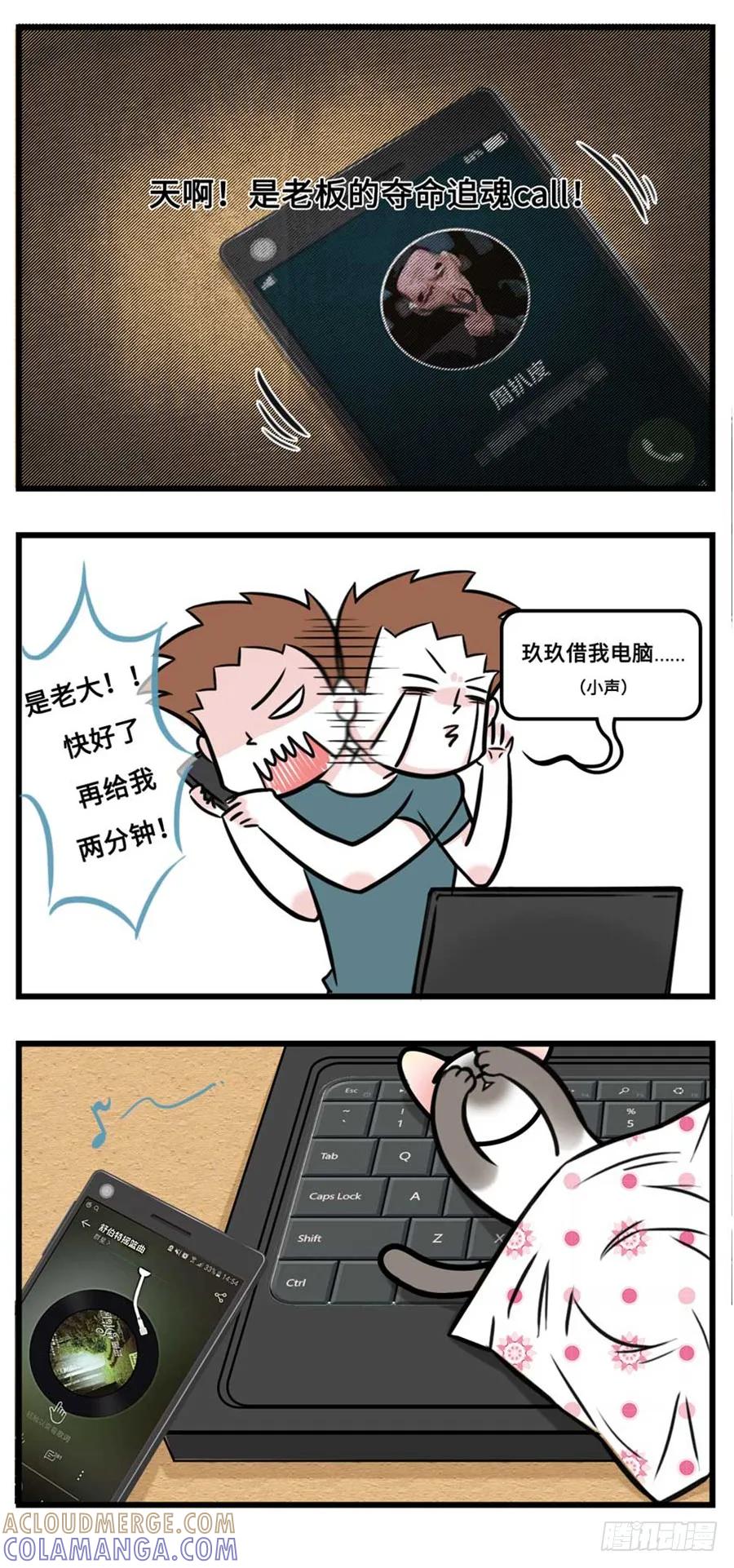 我们猫奴就是这样的！-素菜包-金姨（第6张）