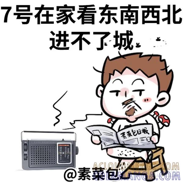 别动！国庆只能做一件事-素菜包-金姨（第7张）