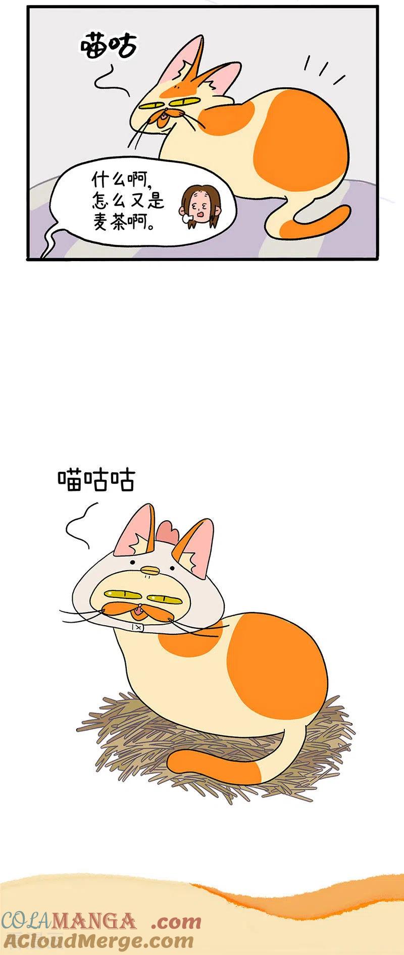 第9话午夜的鸡-阿满和麦茶-新漫画 日胖大海寺（第5张）