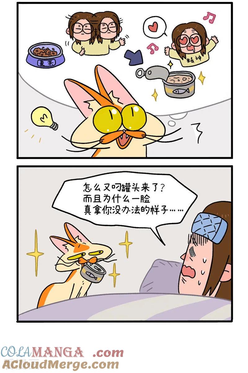 第11话1感冒-阿满和麦茶-新漫画 日胖大海寺（第4张）