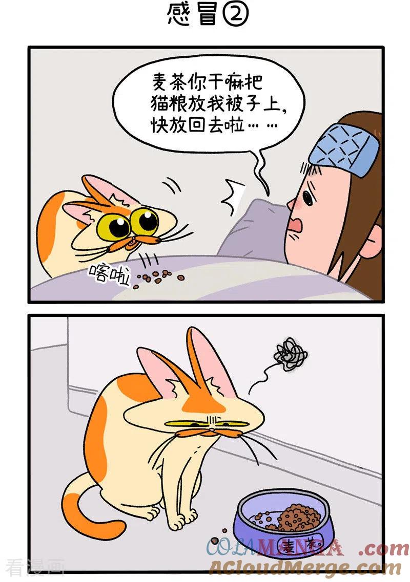 第11话1感冒-阿满和麦茶-新漫画 日胖大海寺（第3张）