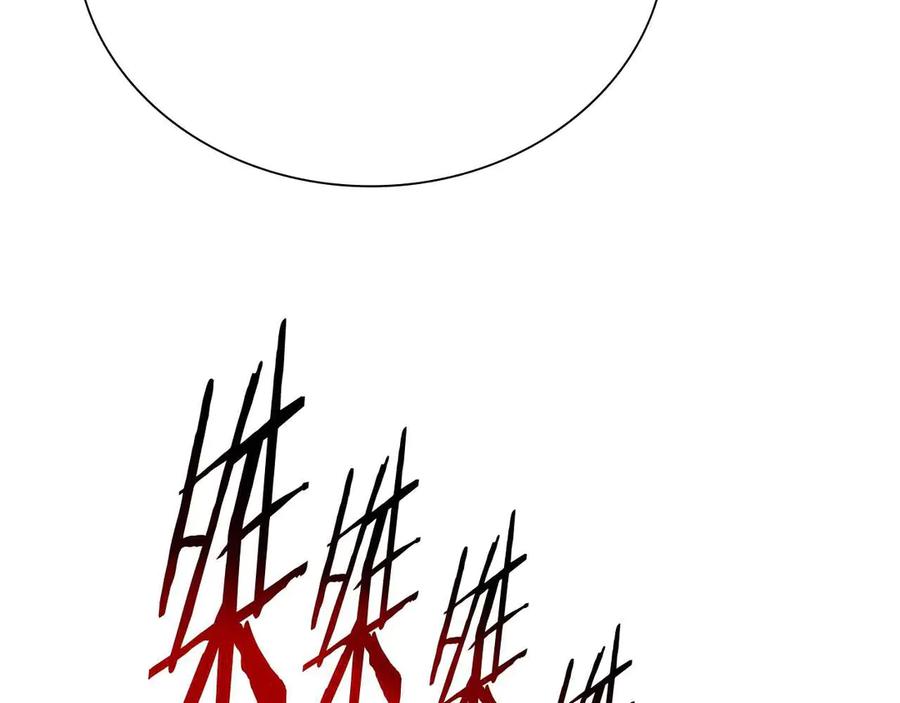 276.jpg