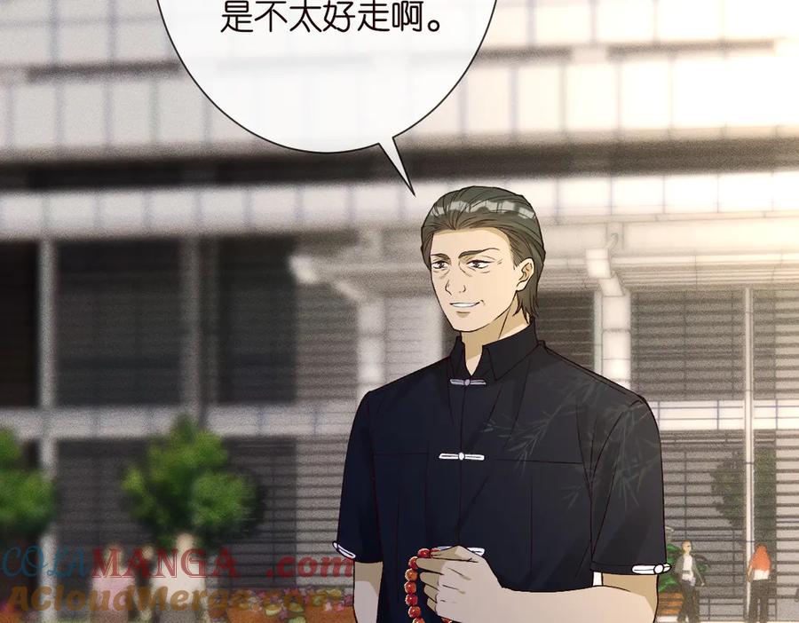 第327桐姨出山-满级大佬翻车以后-纳兰闲（原著）+虎岫工作室（第9张）