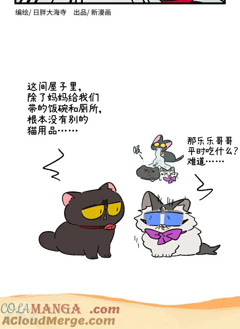 第247话-阿满和麦茶-新漫画 日胖大海寺（第2张）