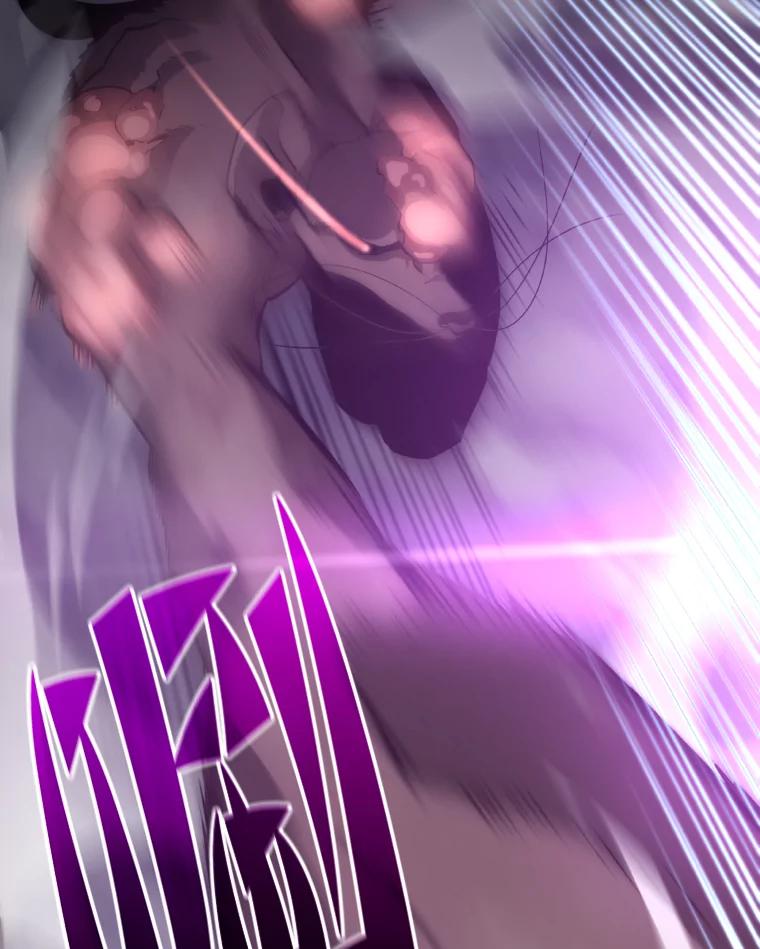 66.jpg