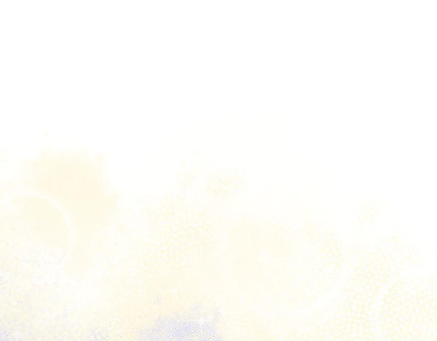 95.jpg