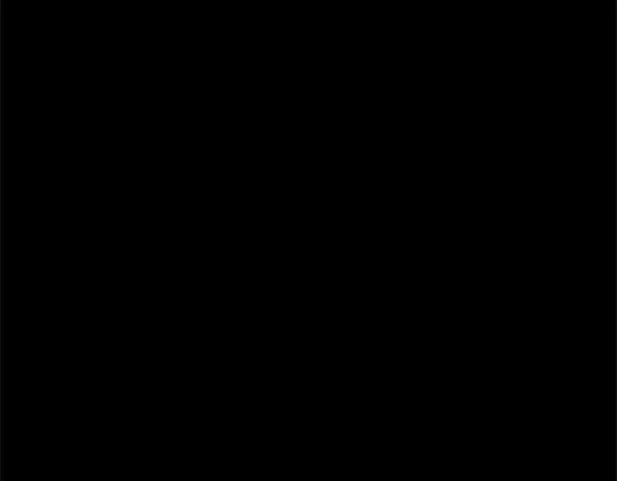 310.jpg