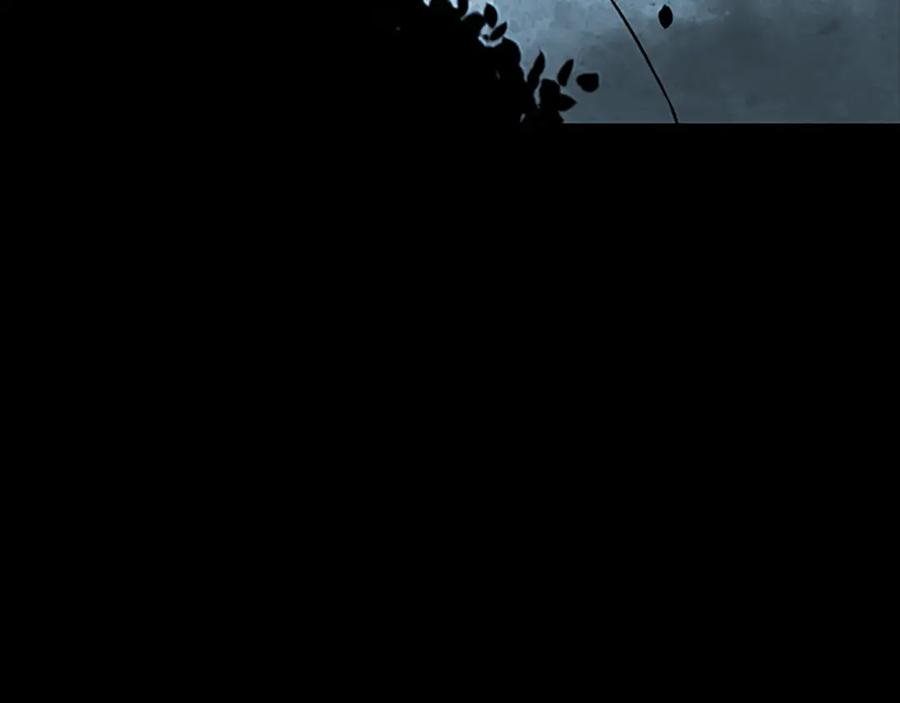 363.jpg