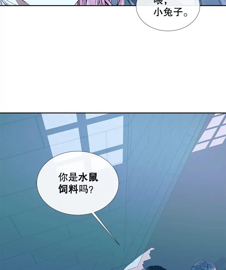 77.jpg