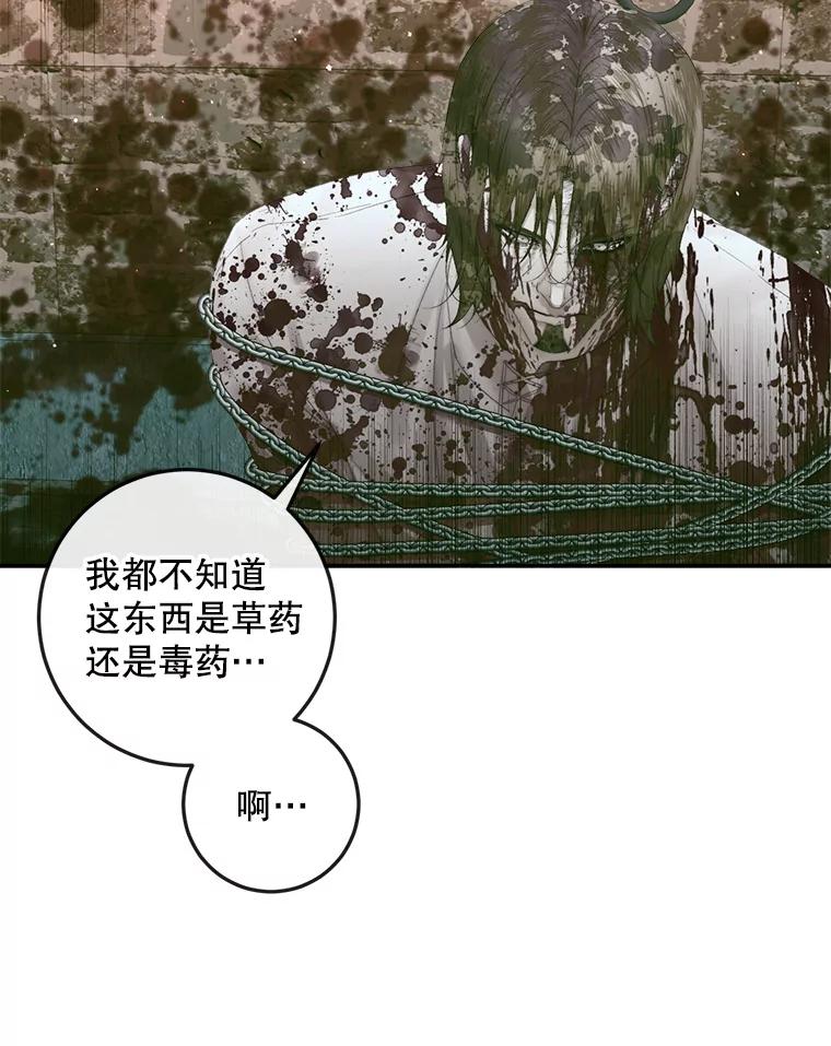 88.jpg