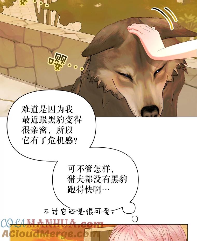 54.jpg