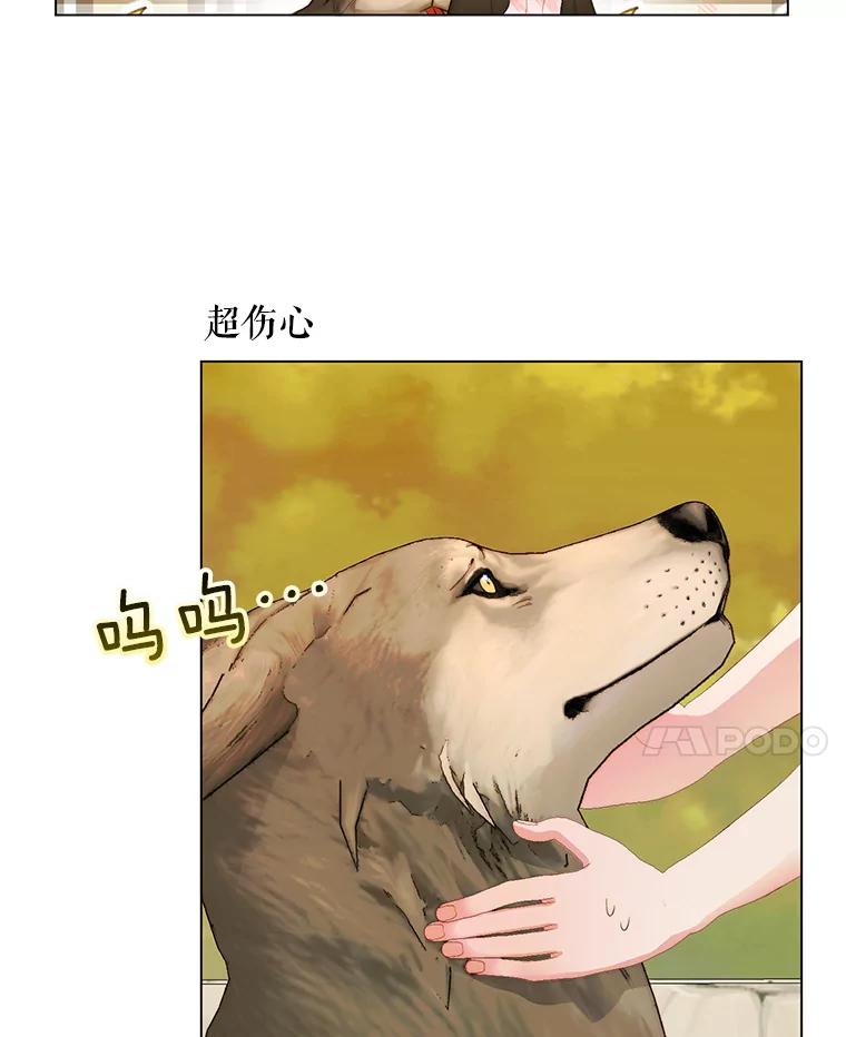 52.jpg