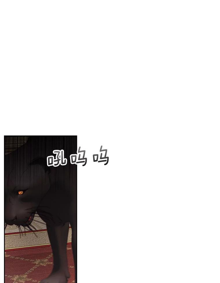 74.jpg