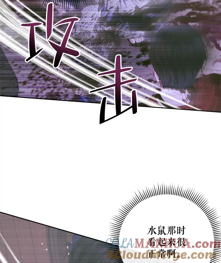 80.jpg