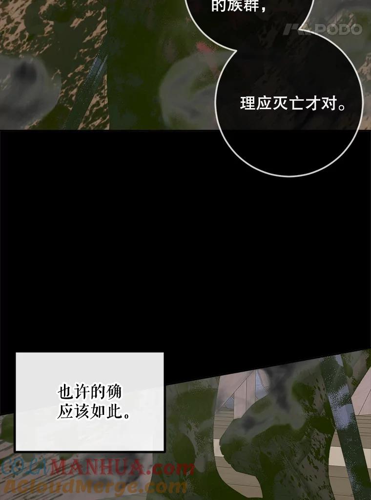 81.jpg