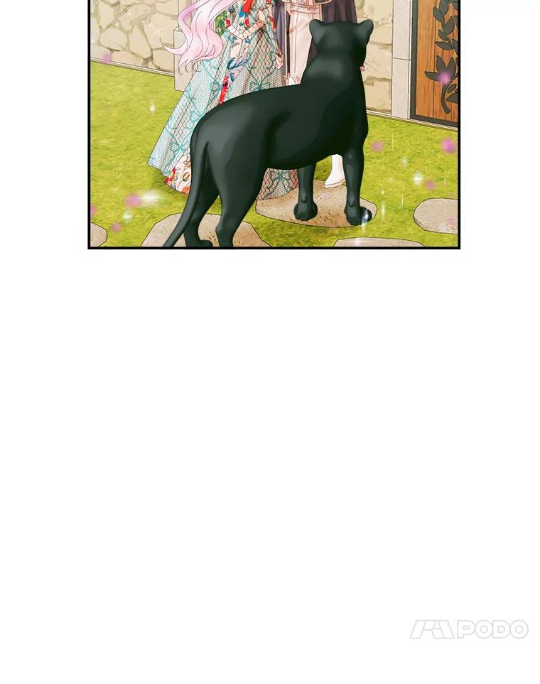 50.jpg