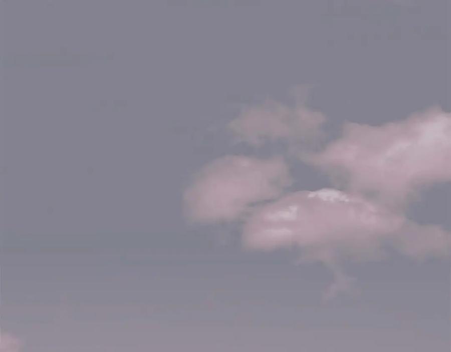 88.jpg