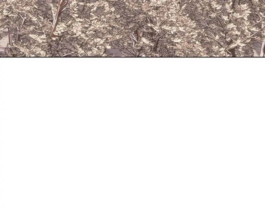 90.jpg