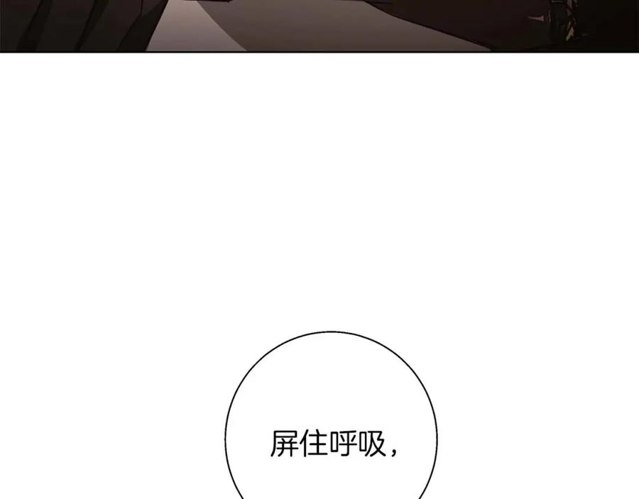 128.jpg