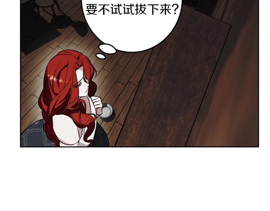 147.jpg